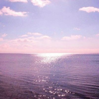 乐鱼体育APP下载安装