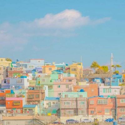 乐鱼体育APP下载安装